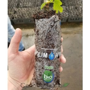 Saco Biodegradável para Mudas Polim-Agri Bio 10x20cm - Canal Agrícola