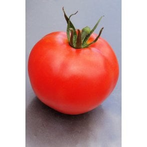Semente Tomate Híbrido Umbu Isla (282) - Canal Agrícola